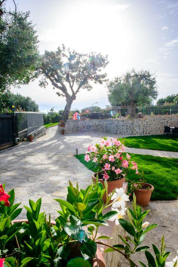 Rosa Cilento Holiday home