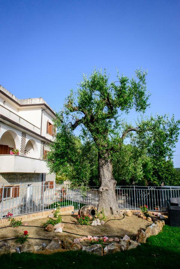 Holiday home Rosa Cilento Caprioli